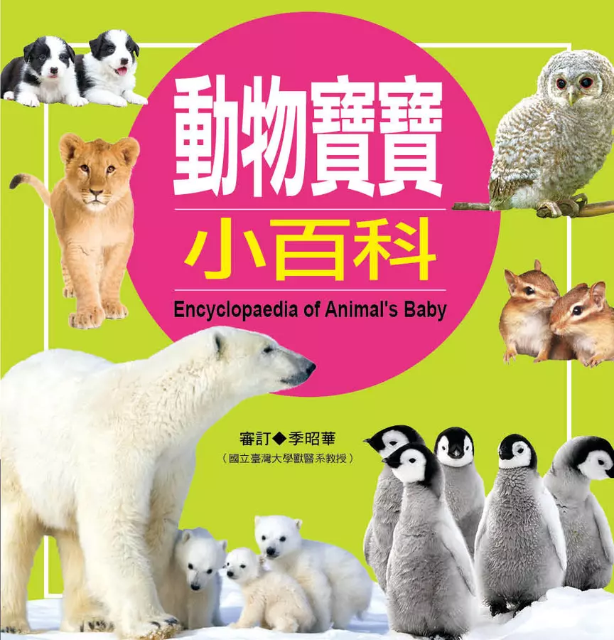 小百科圖鑑:動物寶寶小百科