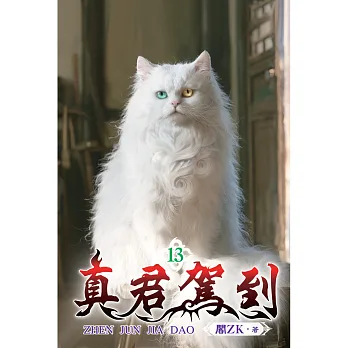 真君駕到13