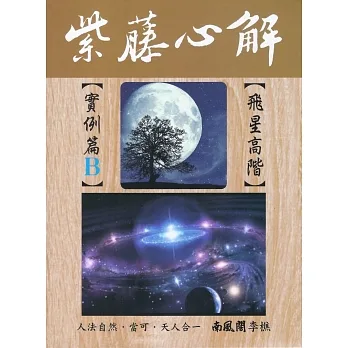 紫藤心解【飛星高階】‧實例篇B冊