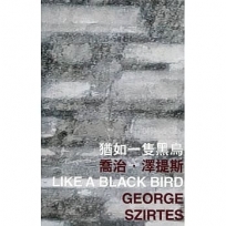 猶如一隻黑鳥 Like a Black Bird