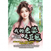 我的老婆是巨寇17