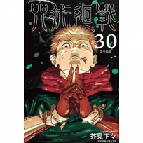 咒術迴戰30(完)