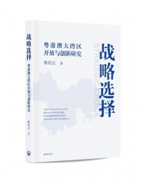 戰略選擇:粵港澳大灣區開放與創新研究