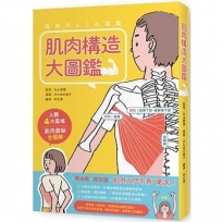 肌肉構造大圖鑑