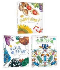 自然科核心素養最佳讀物 大自然繪本套書1【暢銷紀念版】(沉睡中的種子＋活生生的石頭＋害羞的甲蟲）