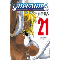 BLEACH死神 愛藏版(21)