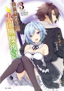 抽籤贏得大獎:大開無雙後宮 (3)-輕小說