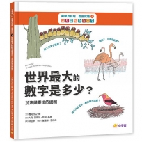 數學真有趣，看圖就懂?世界最大數字是多少？：加法與乘法的總和