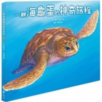 一顆海龜蛋的神奇旅程
