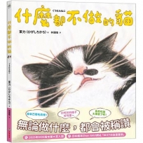 什麼都不做的貓