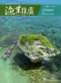 漁業推廣 383期(107/08)