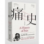 痛史-現代華語文學與電影的歷史創傷(新版)