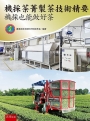 機採茶菁製茶技術精要：機採也能做好茶(第1版)