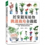 居家觀葉植物挑選栽培全圖鑑:日本植栽專家教你用120種人氣植物,打造「會呼吸的綠意空間」
