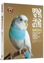 鸚鵡飼育百科:從品種、安全、健康照護到訓練方法的全面指南!