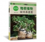 全年度塊根植物栽培基礎書(暢銷版)