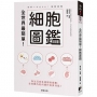 全世界最簡單！細胞圖鑑