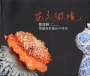 花之微境：曾祥軒陶藝與彩繪創作個展