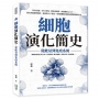 細胞演化簡史，從能量到免疫系統