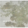 繽紛的白：鍾麗香創作展 / 藝術薪火相傳–2025臺中市美術家接力展