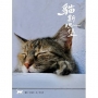 貓斯坦堡