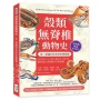 殼類無脊椎動物史,從三葉蟲到章魚的形態變遷:石灰岩標本×化石印模×螺旋殼形×複眼系統……還原遠古海域的生物面貌