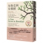布魯克林有棵樹