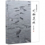 行腳島嶼:楊子澗詩集X