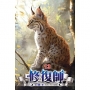 修復師13