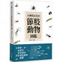 台灣常見室內節肢動物圖鑑:居家常見101種蟲蟲大集合,教你如何分辨與防治