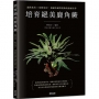 培育絕美鹿角蕨:進階栽培×配置設計,兼顧收藏與裝飾的綠植美學