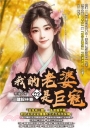 我的老婆是巨寇02