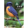 飛羽悠揚-大雪山80種鳥類解說手冊