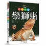 鬃獅蜥:飼養環境、餵食、繁殖、健康照護一本通!