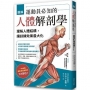 圖解運動員必知的人體解剖學:理解人體結構,讓訓練效果最大化